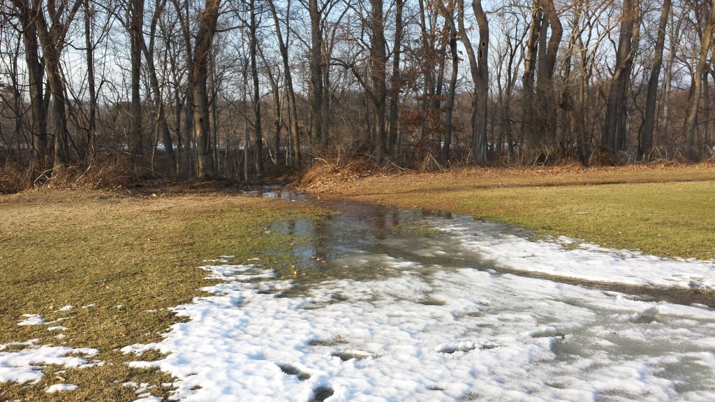 Turf-Winter-Thaw-1024x576